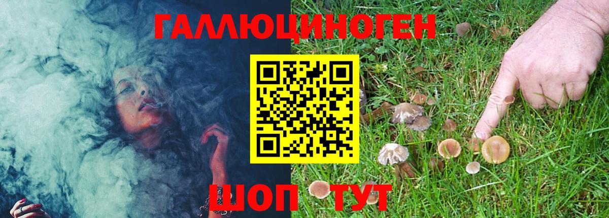 Псилоцибиновые грибы мухоморы Славянск-на-Кубани